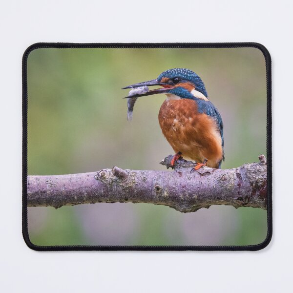 Item preview, Last Gasp designed and sold by iaintall.