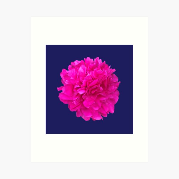 Item preview, Bright Pink Peony Close-up designed and sold by InalterataArt.