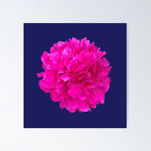 Item preview, Bright Pink Peony Close-up designed and sold by InalterataArt.