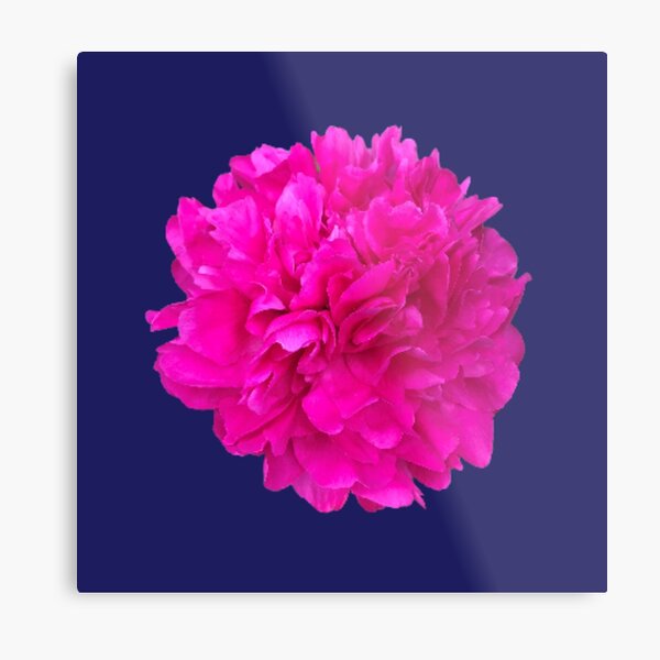 Item preview, Bright Pink Peony Close-up designed and sold by InalterataArt.