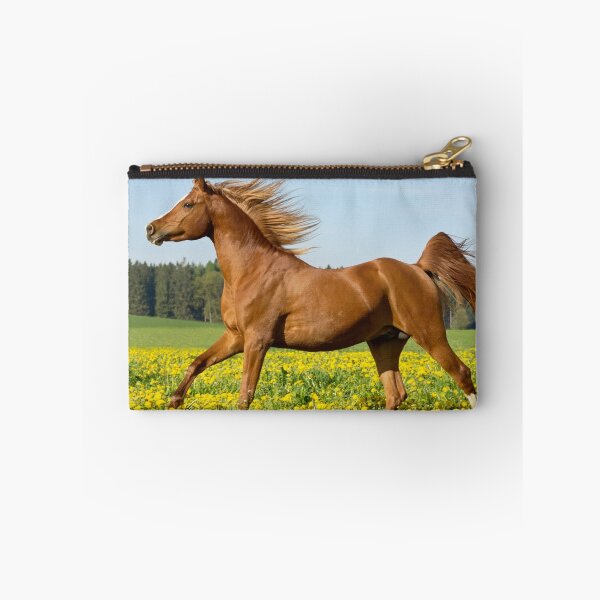 Item preview, Arab horse stallion designed and sold by MGrebler.