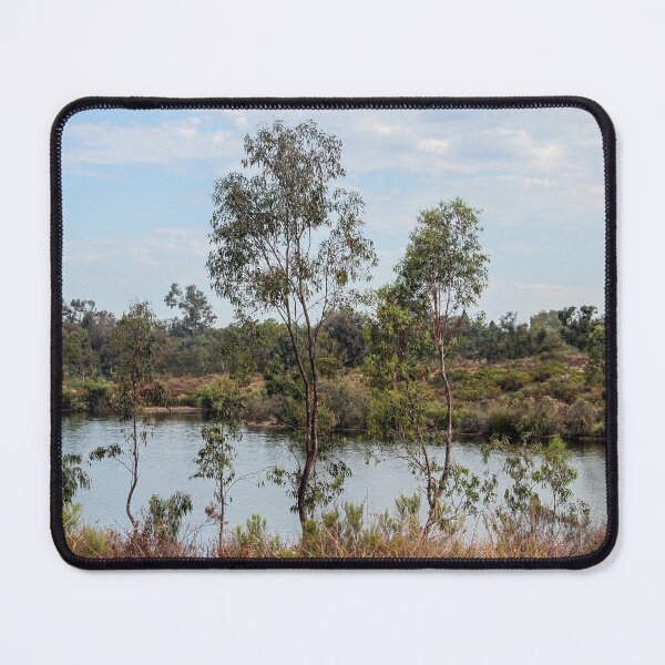 Item preview, Trees Overlooking Lake Murray, San Diego  designed and sold by heatherfriedman.
