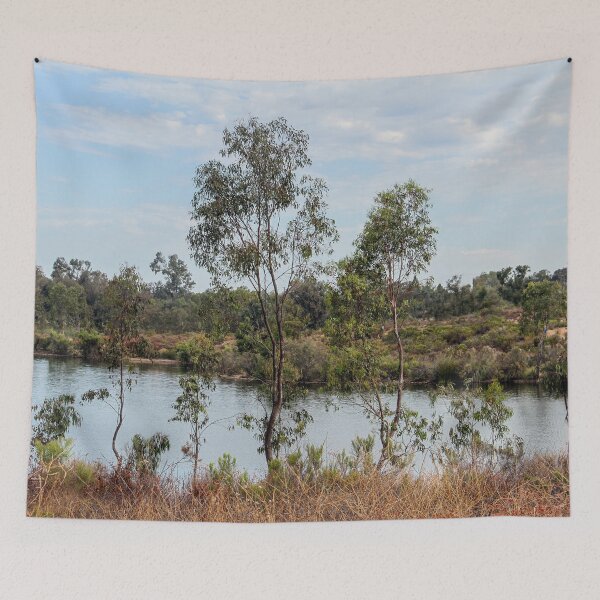 Item preview, Trees Overlooking Lake Murray, San Diego  designed and sold by heatherfriedman.