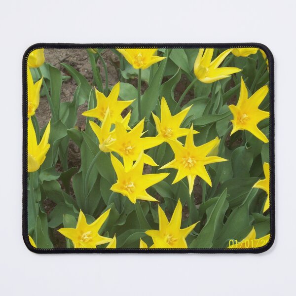 Item preview, yellow flower bed designed and sold by barbich.
