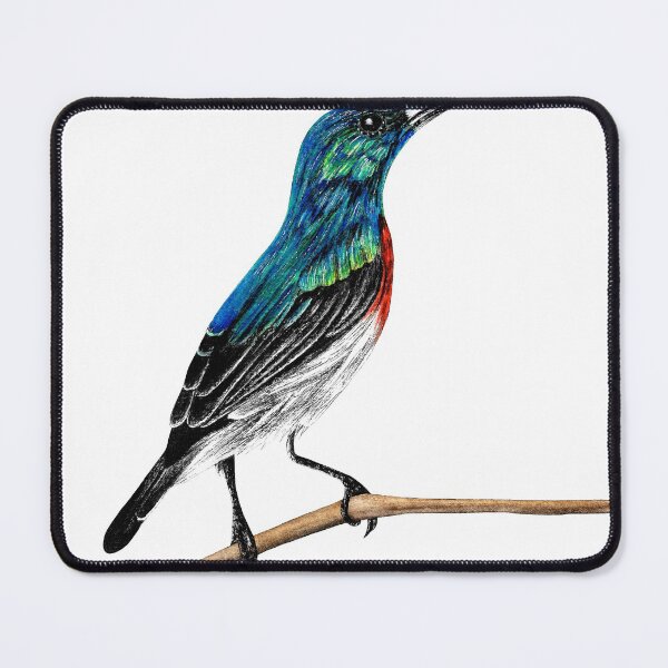 Item preview, Sunbird illustration designed and sold by LorenDowding.