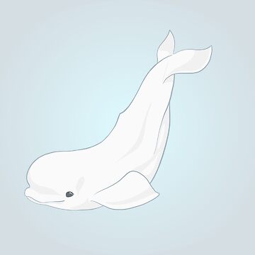 Beluga Whale Swimming Sticker by katdrawsit for iOS & Android