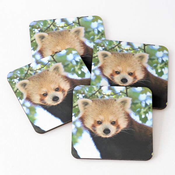 Item preview, An Adorable Red Panda designed and sold by Karen Thomson.