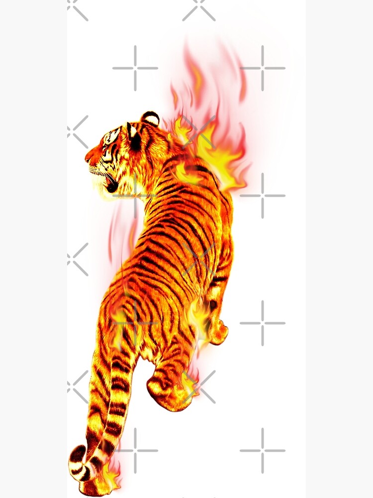 Impression photo « Tigre enflammé, flamme de tigre enflammée, tigre en feu, autres, mammifère