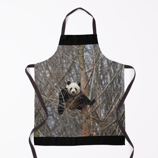 Item preview, Giant Panda Bei Bei at the National Zoo designed and sold by Zoo and Nature Photography by Karie.