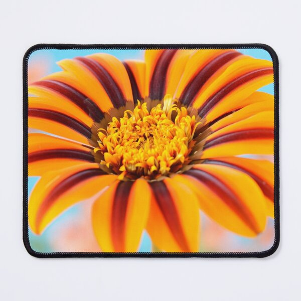 Item preview, Gazania  'Tikal'  SunBathers Series  designed and sold by Chris Burrows.