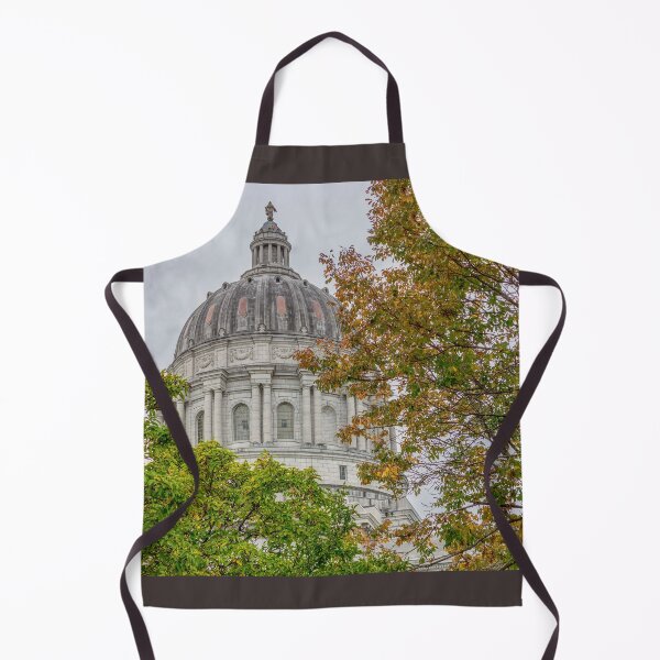 Item preview, Missouri Capitol Dome Tree Framed designed and sold by mljdwhite.