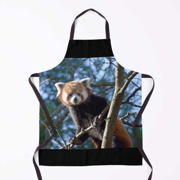 Item preview, Red Panda at the National Zoo designed and sold by Zoo and Nature Photography by Karie.