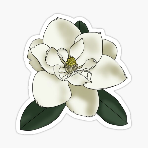 Vintage Flora, Magnolia, Contour, outdoor vinyl stickers – Lantern
