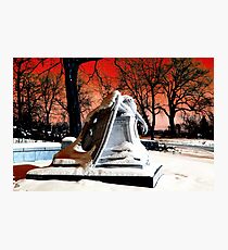 Darkening of the Night Photographic Print