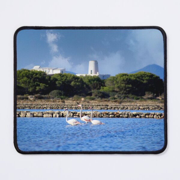 Item preview, Flamingos Formentera designed and sold by Droneformentera.