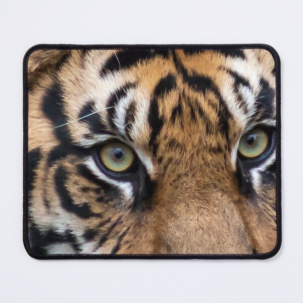 Item preview, Sumatran Tiger at the National Zoo designed and sold by Zoo and Nature Photography by Karie.