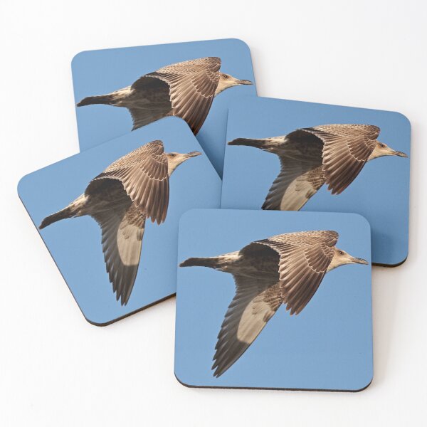 Item preview, Herring Gull designed and sold by BryanDevon.