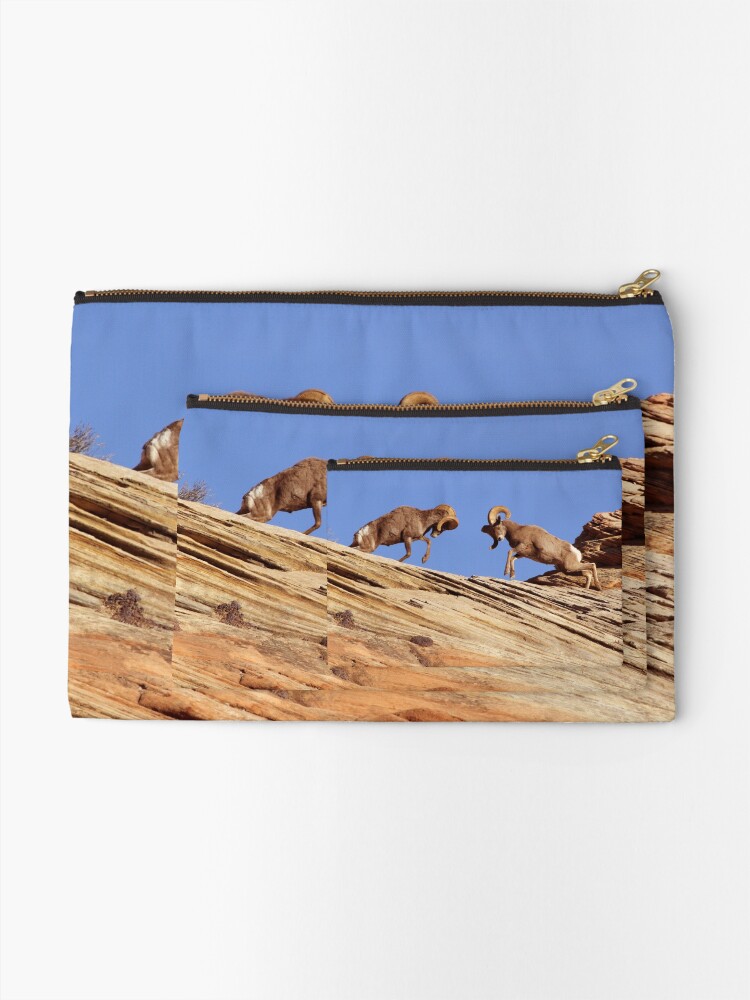Alternate view of Bighorns Battling in Red Rock Country Zipper Pouch