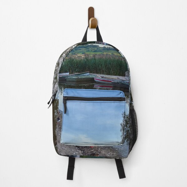 Item preview, Ducks & Boats, Llangorse Lake designed and sold by VnGphoto.