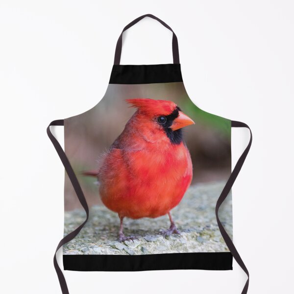 Item preview, Cardinal designed and sold by Zoo and Nature Photography by Karie.