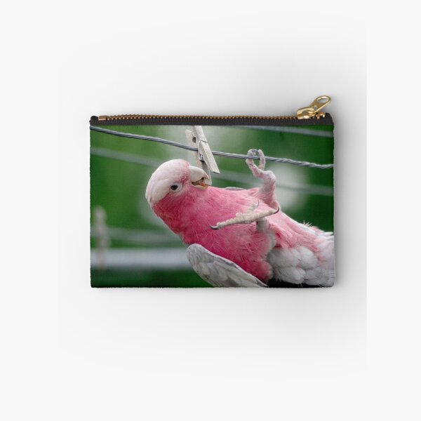 Item preview, Clothesline Fun designed and sold by Tamara  Kenneally.