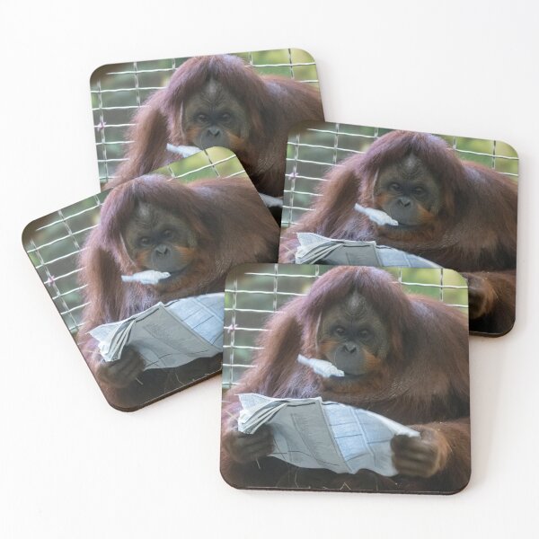 Item preview, Orangutan Bonnie at the National Zoo designed and sold by Zoo and Nature Photography by Karie.