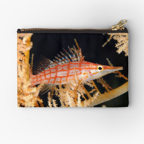 Longnose hawkfish - Oxycirrhites typus Zipper Pouch