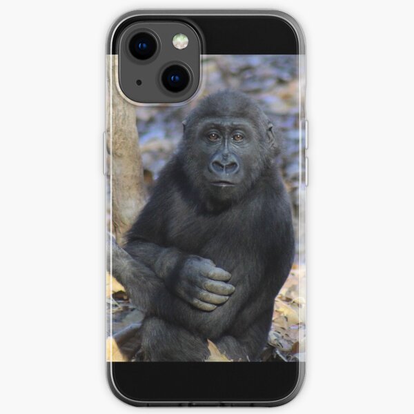 Gorilla Mija im Zoo Atlanta iPhone Flexible Hülle