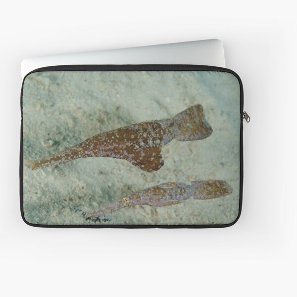 Robust ghostpipefish - Solenostomus cyanopterus Laptop Sleeve