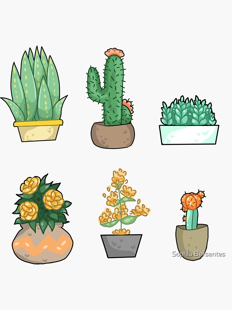 Sticker plante cactus