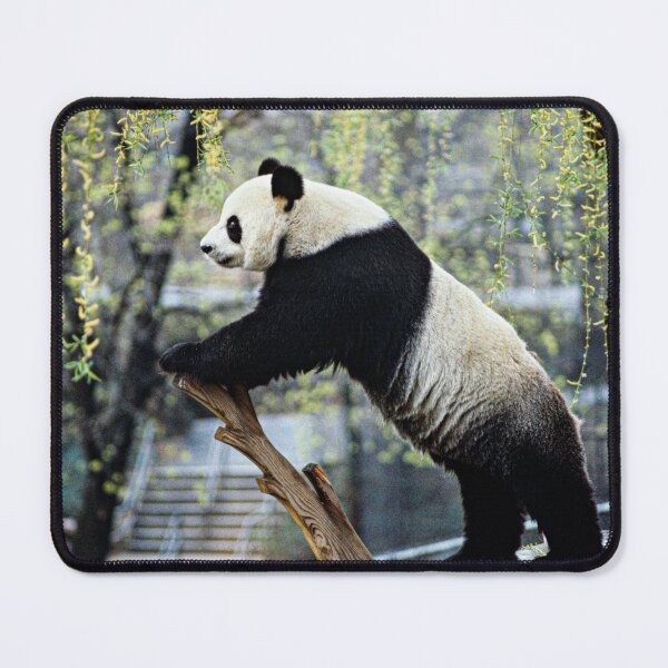 Item preview, Panda in the florest designed and sold by Makiesaan.
