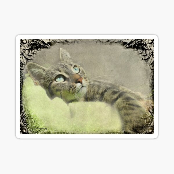 Mesmerism Sticker