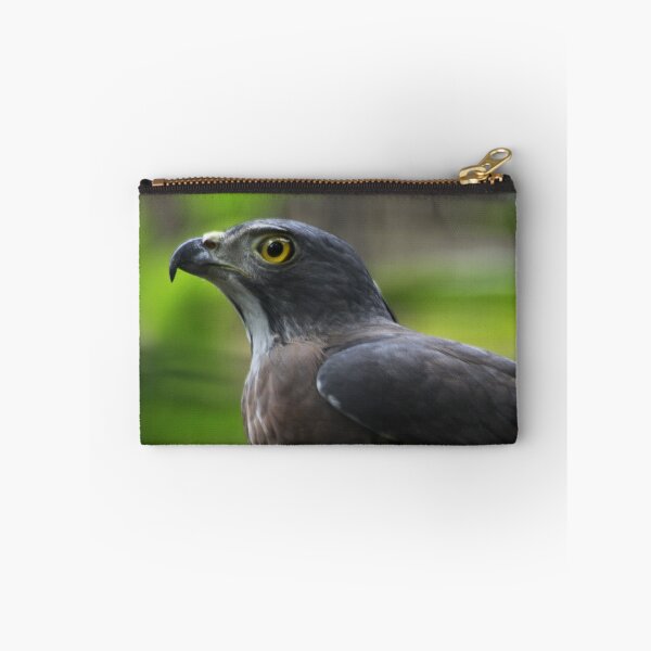 Item preview, Crested Goshawk designed and sold by byronbackyard.