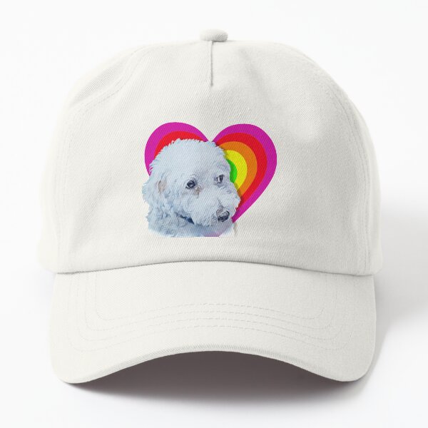 Boris the Bichon in a rainbow heart! Dad Hat