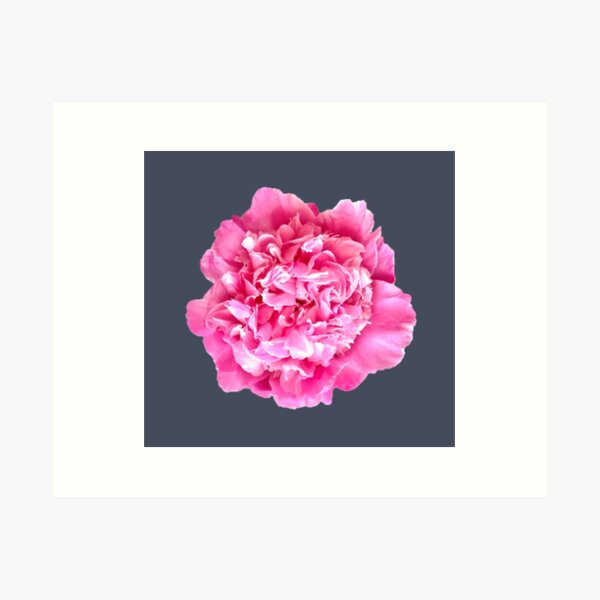 Item preview, Pink Peony Close-up designed and sold by InalterataArt.