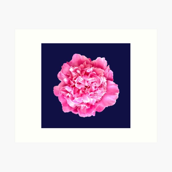 Item preview, Pink Peony Close-up designed and sold by InalterataArt.
