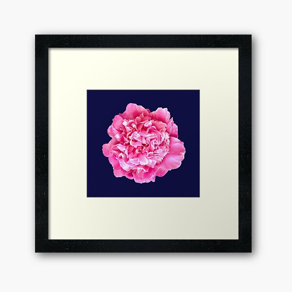 Item preview, Pink Peony Close-up designed and sold by InalterataArt.
