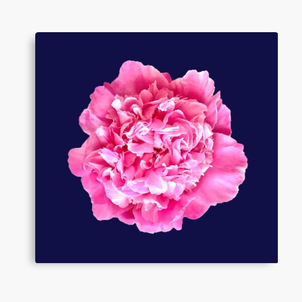 Item preview, Pink Peony Close-up designed and sold by InalterataArt.