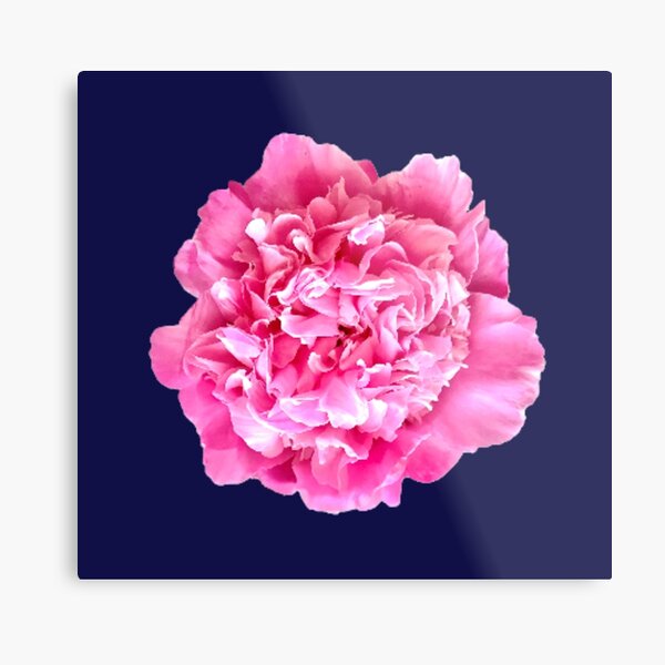 Item preview, Pink Peony Close-up designed and sold by InalterataArt.