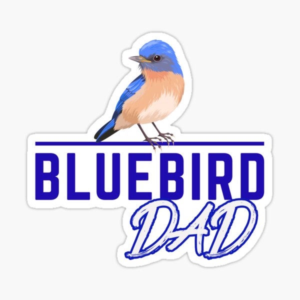 Blue Jay by Jia Spiggle on Dribbble