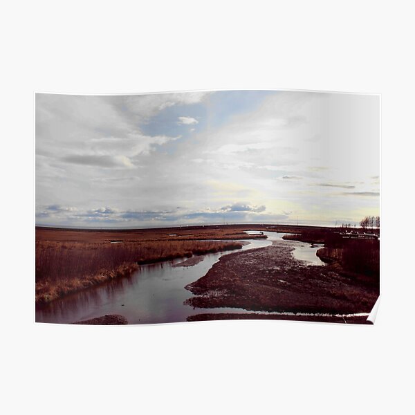 Potters Marsh Poster