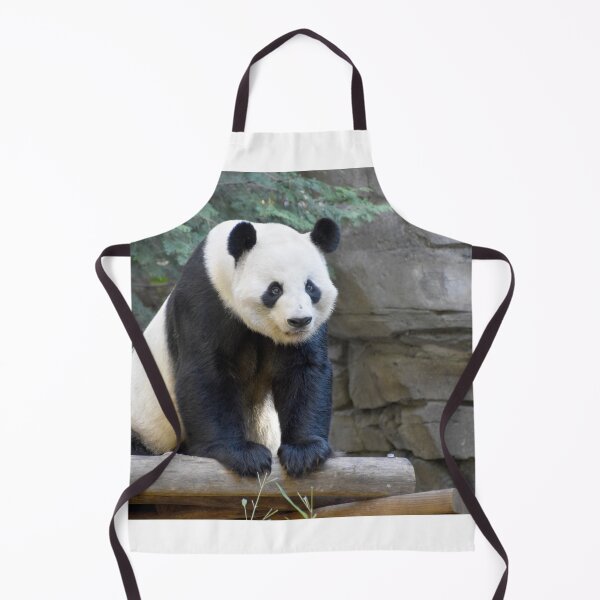 Item preview, Giant Panda Yang Yang at Zoo Atlanta designed and sold by Zoo and Nature Photography by Karie.