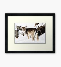 Knee Deep Framed Print