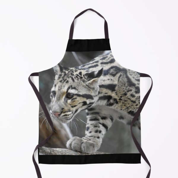 Item preview, Clouded Leopard at the National Zoo designed and sold by Zoo and Nature Photography by Karie.