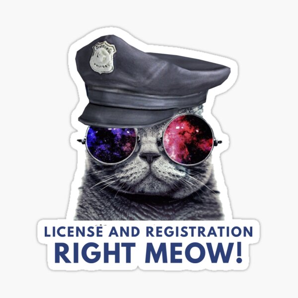 Aperçu de l'œuvre Licence et enregistrement Right Meow Funny Police Cat créée et vendue par coffeeandwine.