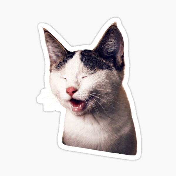 Sneezing Cat Gifts & Merchandise for Sale | Redbubble