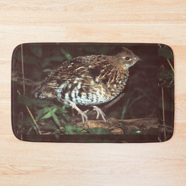 Item preview, Grouse Hen designed and sold by Bill Spengler's Photographic Thoughts.