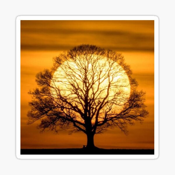 Item preview, Setting Sun Behind The Tree designed and sold by Rowena Jones.