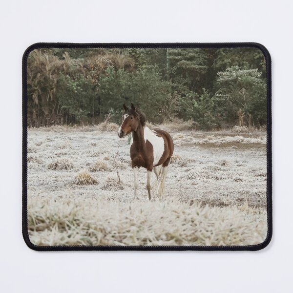 Item preview, Horse - Winter #4 designed and sold by anafrancisconi.