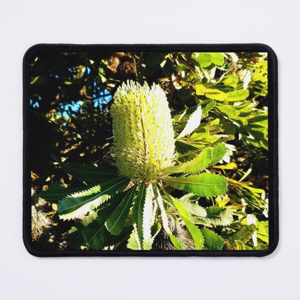 Item preview, Native Banksia Tree Flower designed and sold by Eka77.